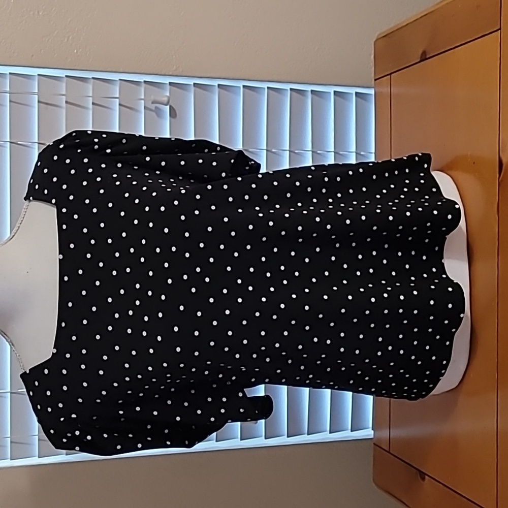 Adrianna Papell Polka dot Blouse